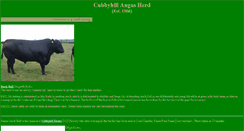 Desktop Screenshot of cubbyhillangus.freeola.net